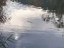 1188278815.webp