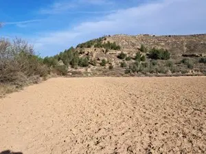 1143953925.webp
