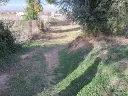 1143953945.webp