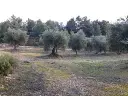 1143985266.webp