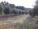 1143985278.webp