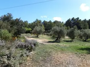 1143985268.webp