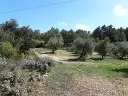 1143985268.webp