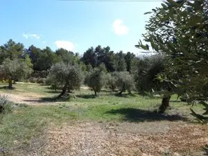 1143985279.webp