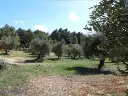 1143985279.webp
