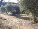 1143985267.webp