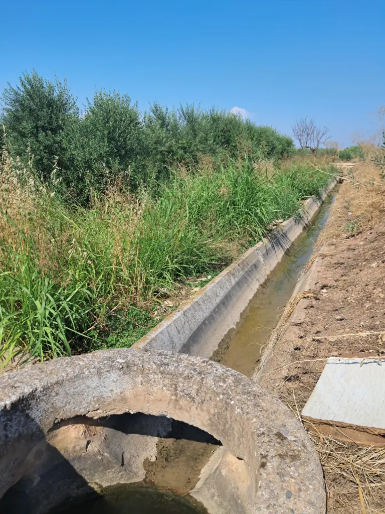 WhatsApp Image 2025-08-29 at 11.50.59 (3).webp