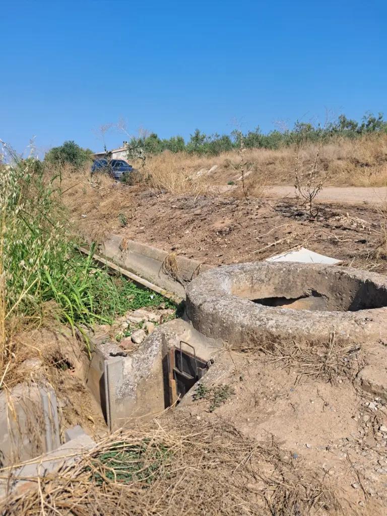 WhatsApp Image 2025-08-29 at 11.50.59 (2).webp