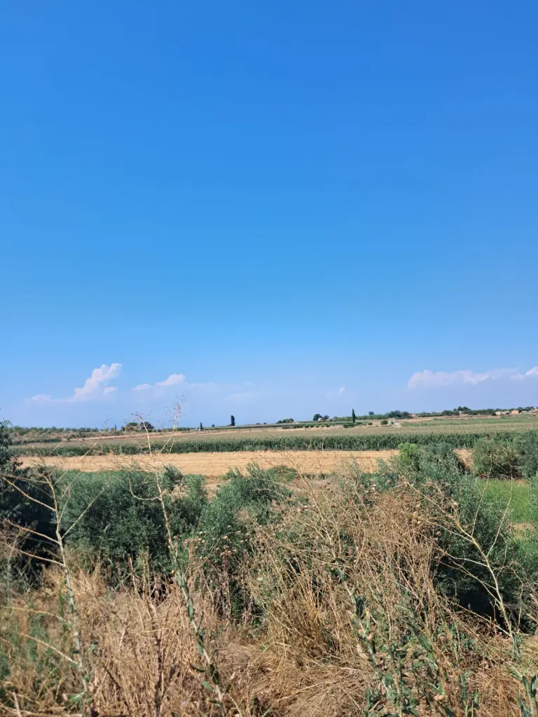 WhatsApp Image 2025-08-29 at 11.50.59 (1).webp