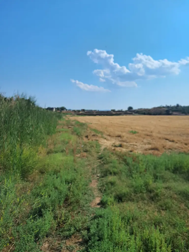 WhatsApp Image 2025-08-29 at 12.27.05 (3).webp