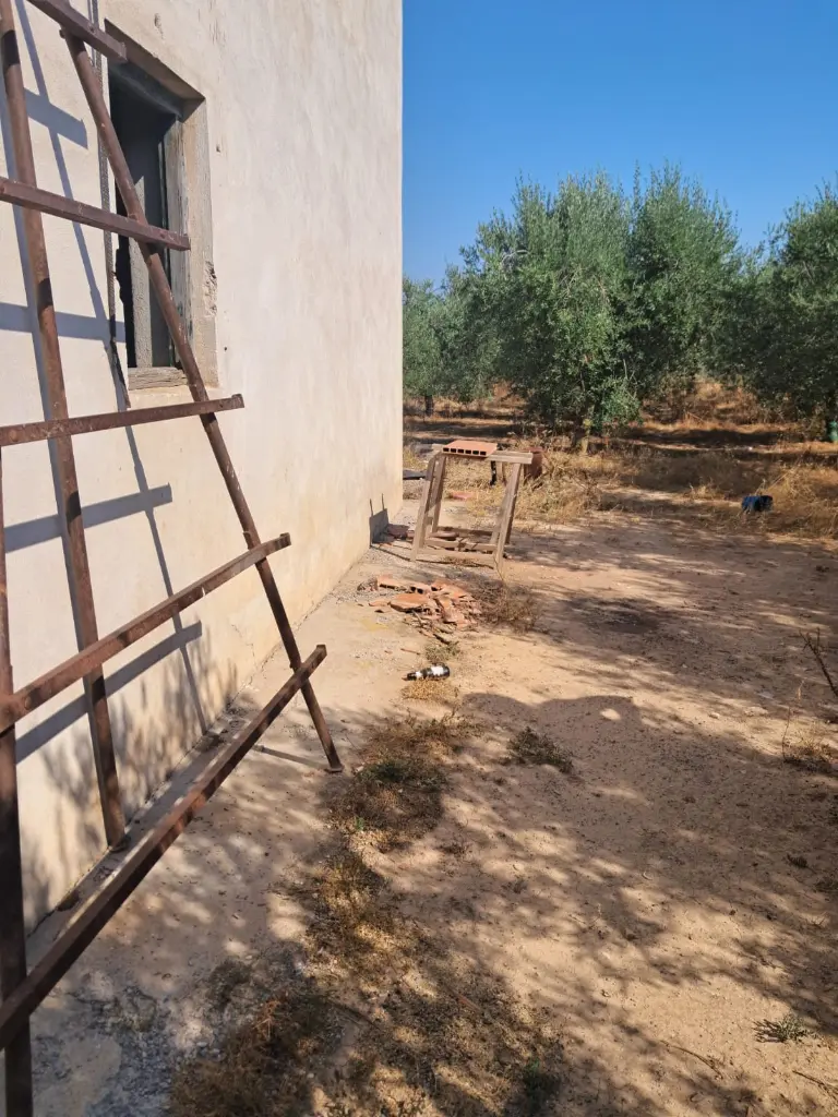 WhatsApp Image 2025-08-29 at 12.27.11 (1).webp