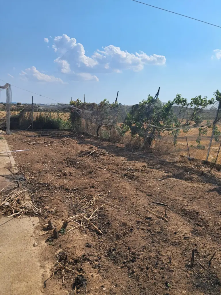 WhatsApp Image 2025-08-29 at 12.27.04 (3).webp