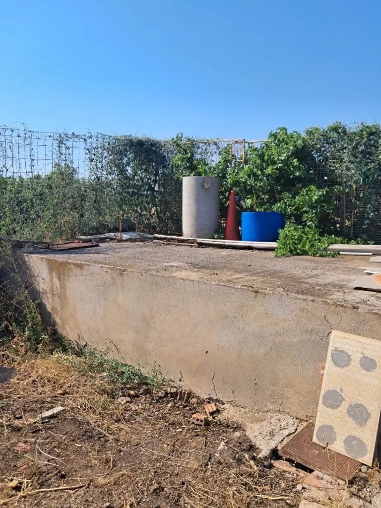 WhatsApp Image 2025-08-29 at 12.27.04 (2).webp