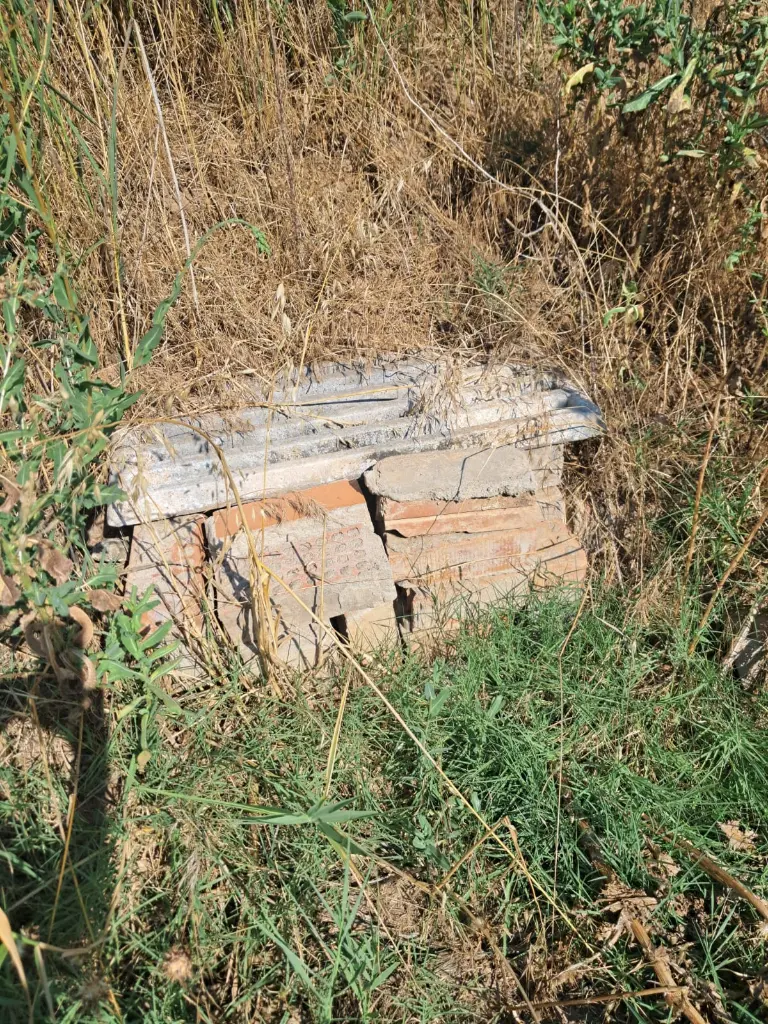 WhatsApp Image 2025-08-29 at 12.27.06 (1).webp