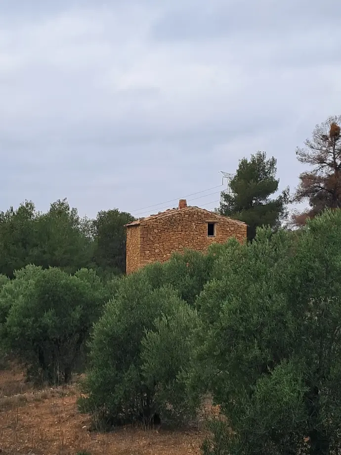 Terreno en La Pobla del Cervoles (LLEIDA).