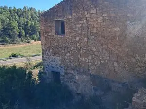 Finca de olivos en Maials (LLEIDA).