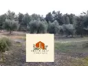 Finca a la Pobla del Cérvoles    LLEIDA