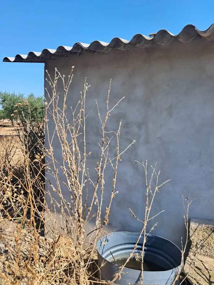 Finca de Olivos en Arbeca   LLEIDA