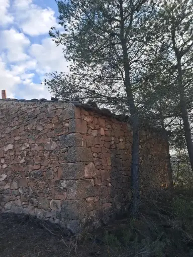 Finca de Olivos en Juncosa(LLEIDA).
